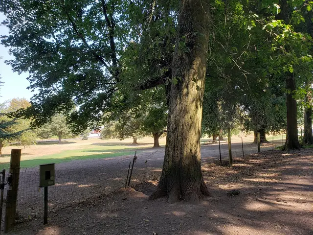 Chimney Park — customer photo 10
