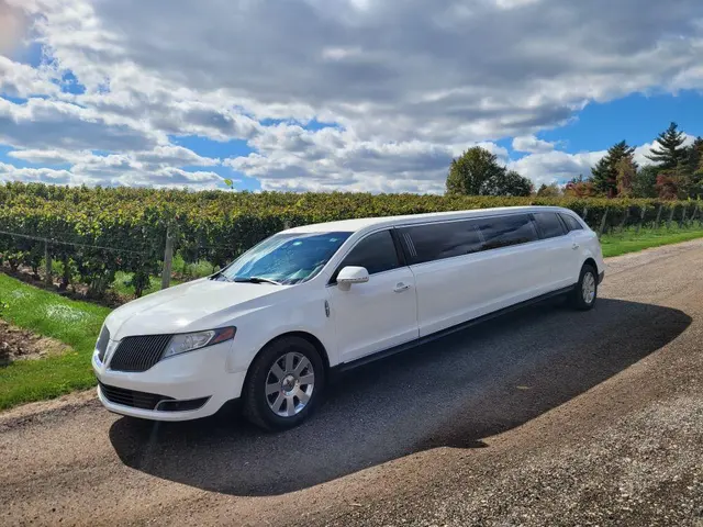 All Around Limousine Service, LLC — photo from the business 3