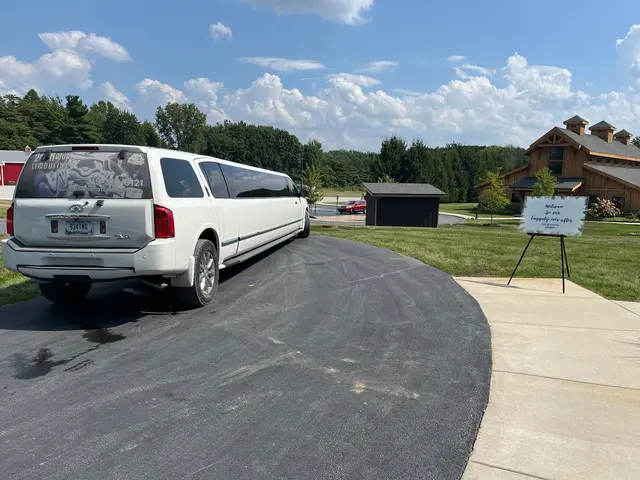 Second Nature Limousine — photo from the business 8