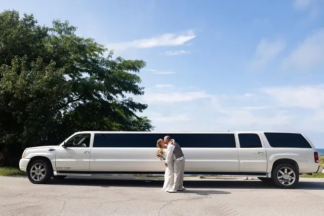 Second Nature Limousine — photo from the business 2