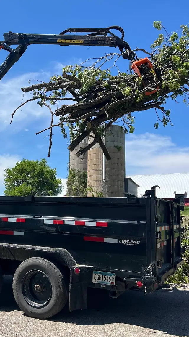 Three Pines — photo from the business 6