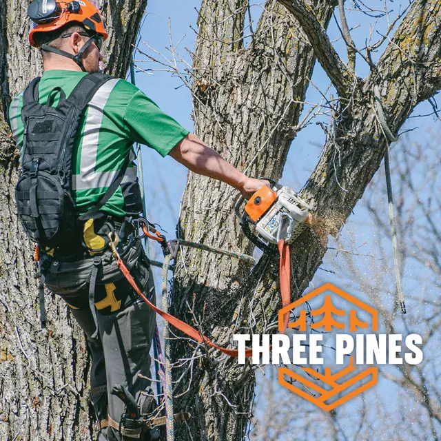 Three Pines — photo from the business 1
