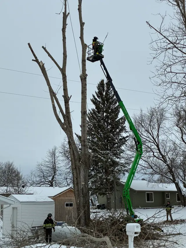Three Pines — customer photo 8