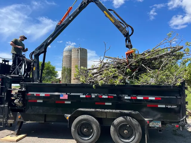 Three Pines — photo from the business 11