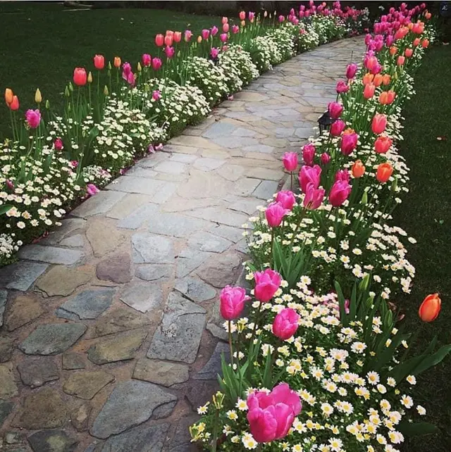 Racoon Lawn Care Services.LLC — photo from the business 12