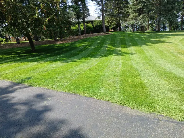 Racoon Lawn Care Services.LLC — photo from the business 2