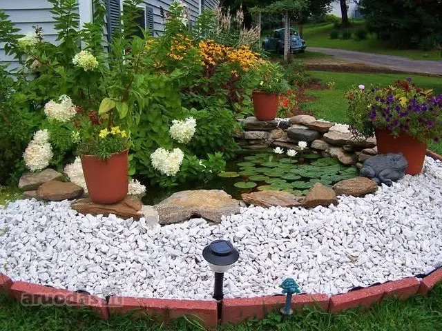 Racoon Lawn Care Services.LLC — photo from the business 8