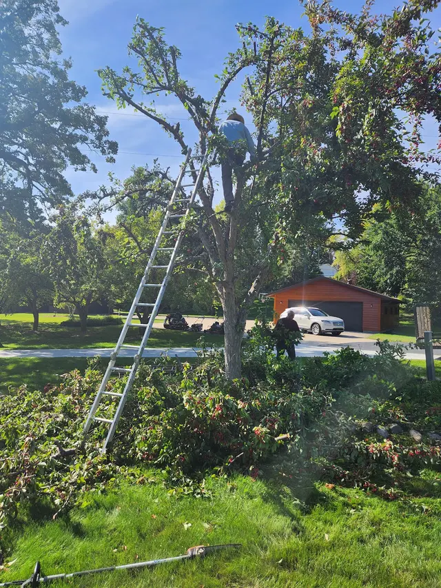 Racoon Lawn Care Services.LLC — photo from the business 3