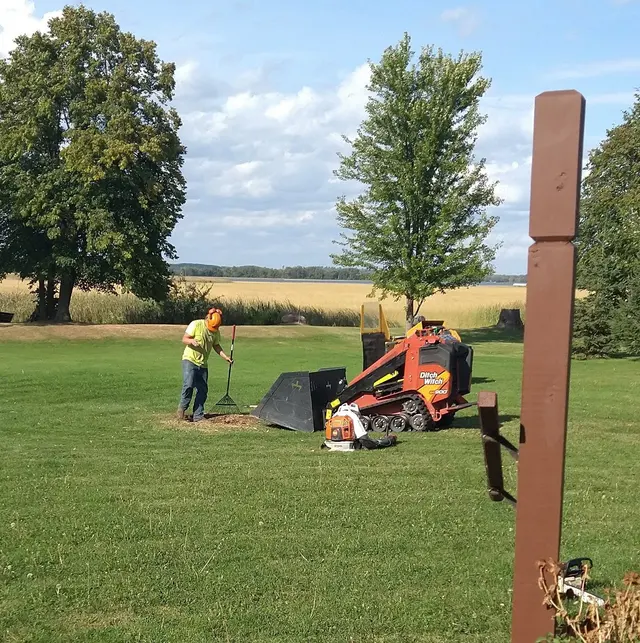 Tree Removers — customer photo 7