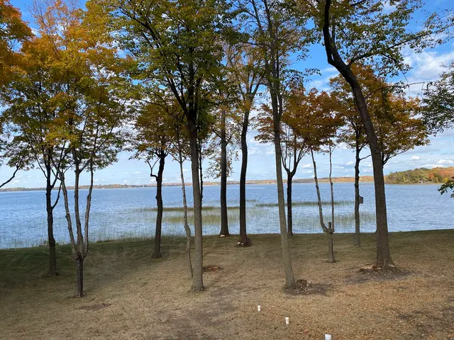 Tree Removers — customer photo 4