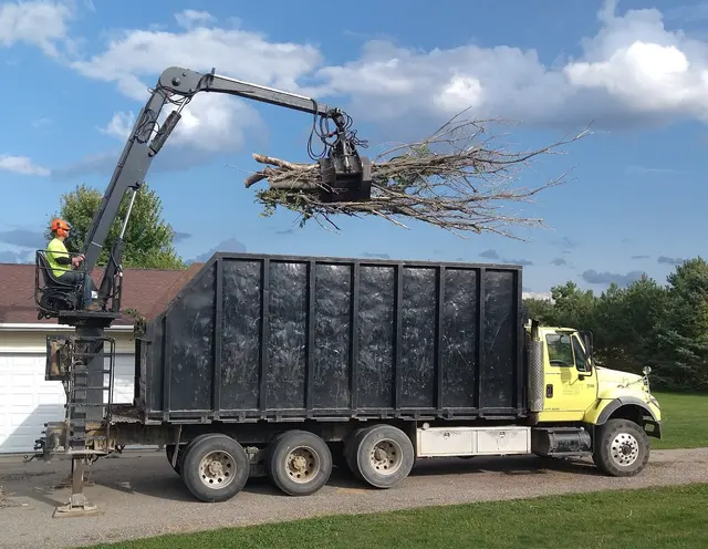 Tree Removers — customer photo 8