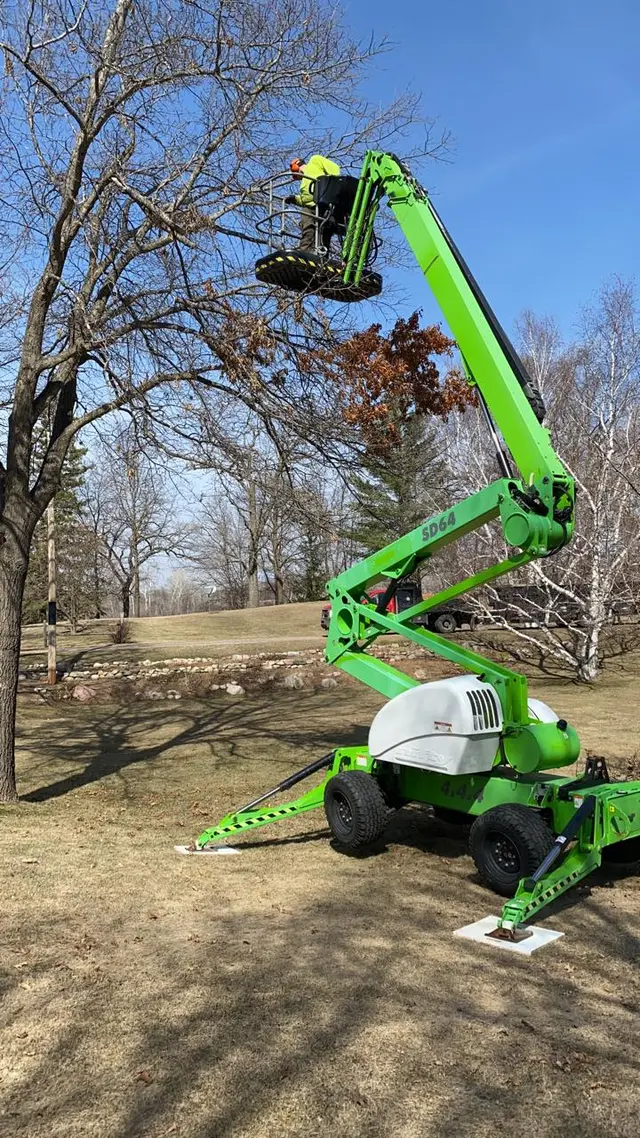 Tree Removers — photo from the business 3