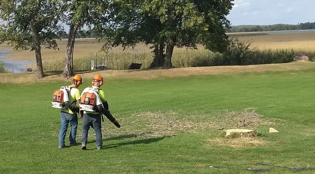 Tree Removers — customer photo 5