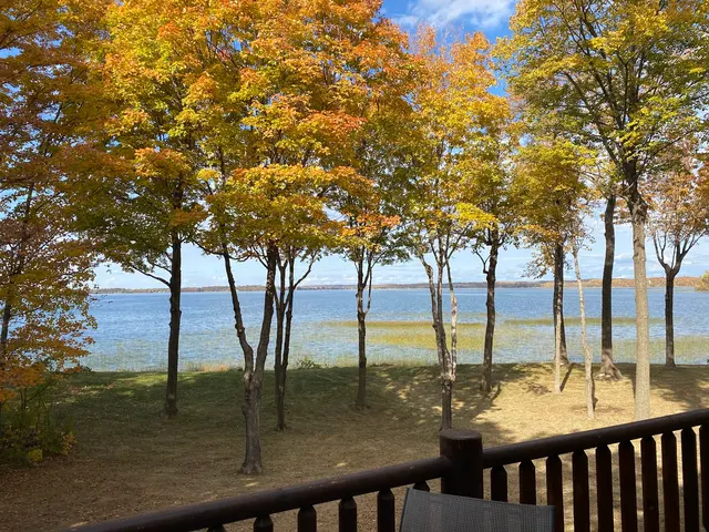 Tree Removers — customer photo 10