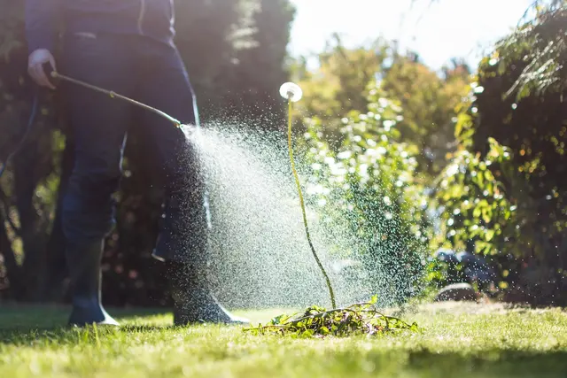 Lakes Area Landscaping, LLC. — photo from the business 6