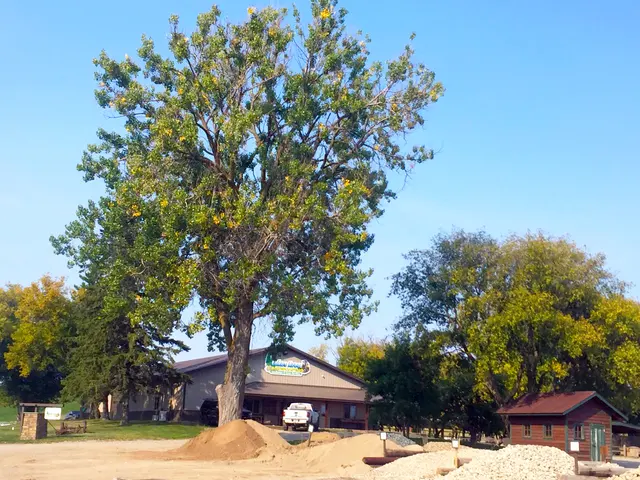 Lakes Area Landscaping, LLC. — customer photo 11