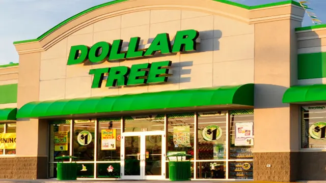 Dollar Tree — photo from the business 11
