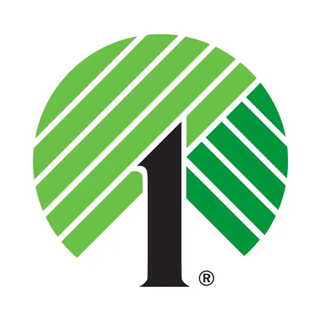 Dollar Tree — photo from the business 10