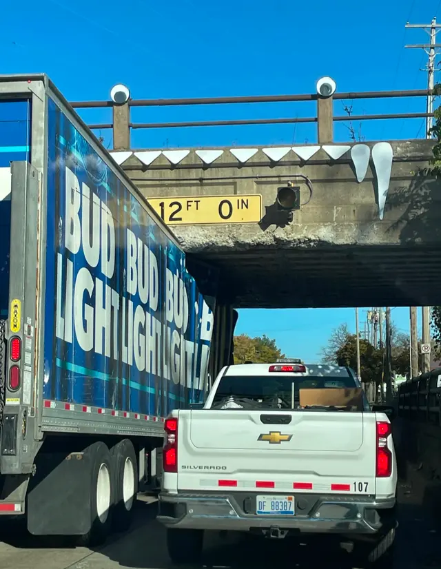 Penny the Truck Eating Bridge — customer photo 5