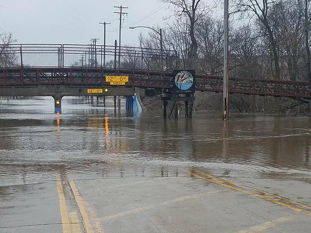 Penny the Truck Eating Bridge — customer photo 11