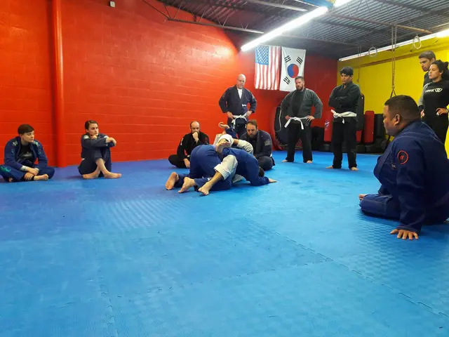 Sloth Brazilian Jiu Jitsu — photo from the business 8