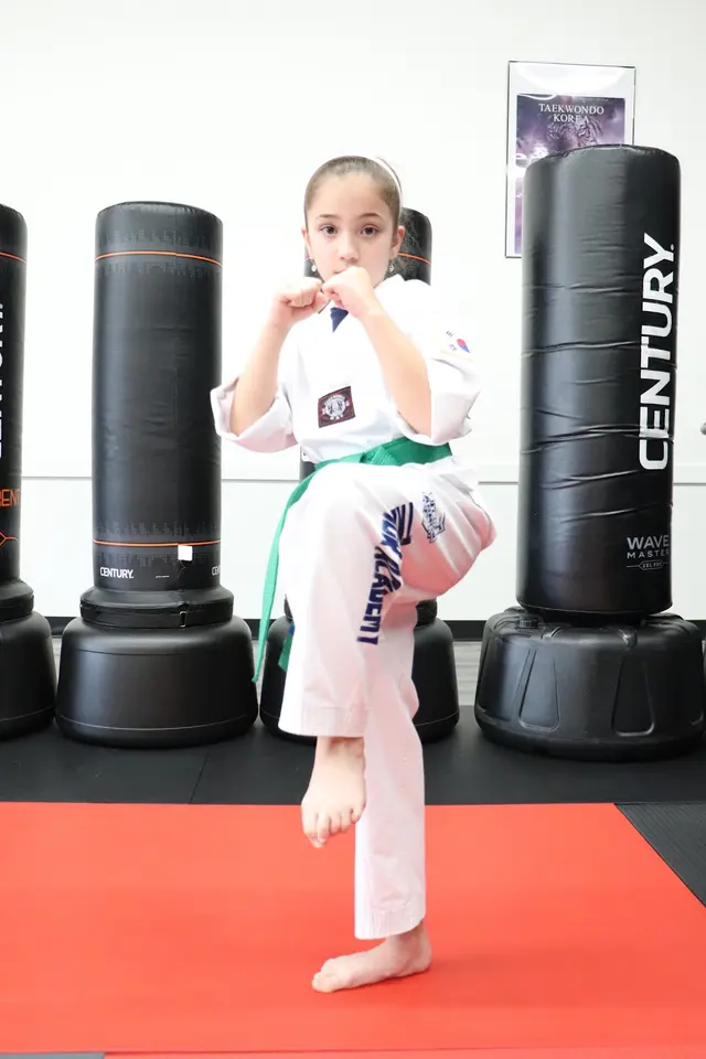 TKD Armor Academy - Taekwondo - Brazilian Jiu-Jitsu — photo from the business 7