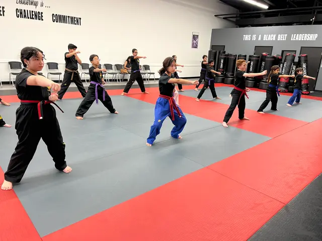 TKD Armor Academy - Taekwondo - Brazilian Jiu-Jitsu — photo from the business 1