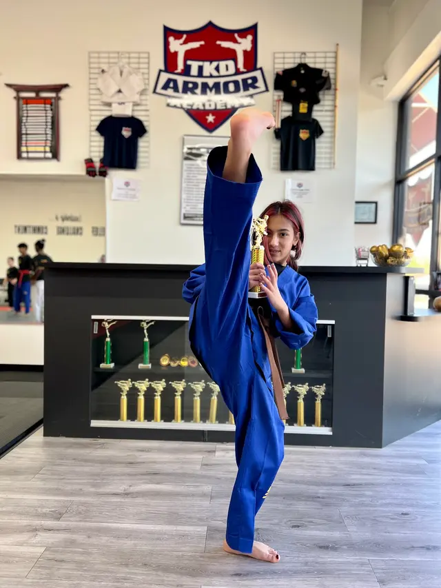 TKD Armor Academy - Taekwondo - Brazilian Jiu-Jitsu — photo from the business 4