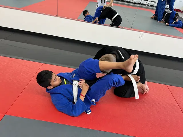 TKD Armor Academy - Taekwondo - Brazilian Jiu-Jitsu — photo from the business 6