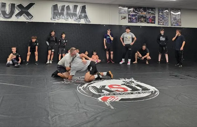 Flux MMA — photo from the business 12