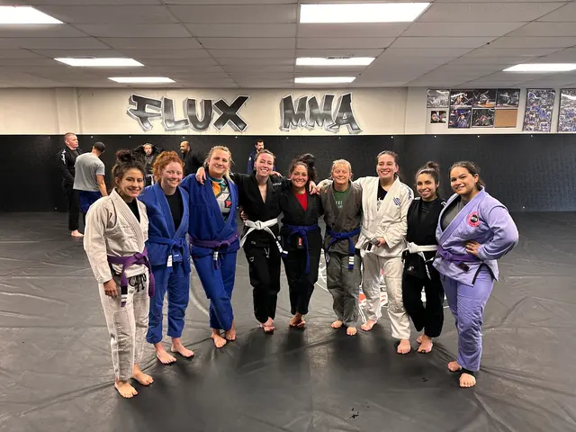 Flux MMA — customer photo 3