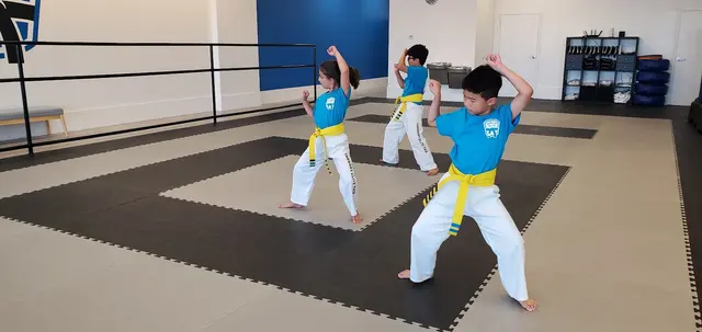 Tarrant Elite Taekwondo — photo from the business 4