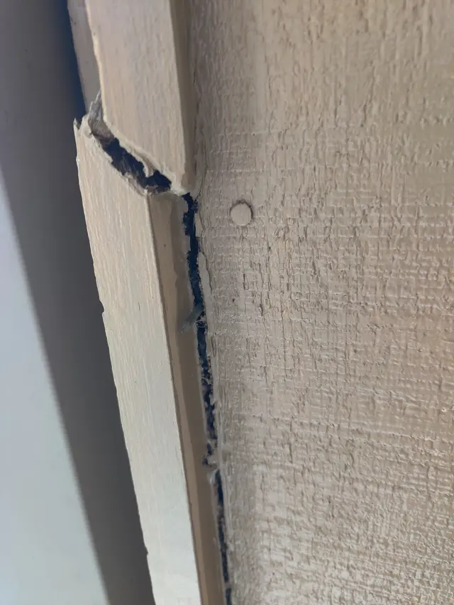 Customer photo from David's review