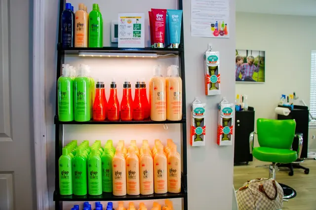 Fresh Heads Lice Removal - Jacksonville Beach — photo from the business 6