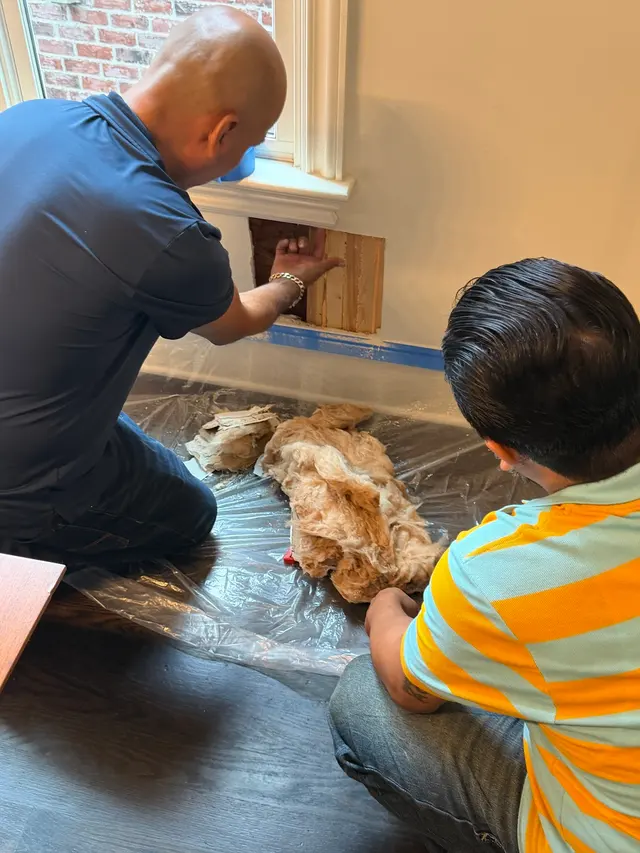 Customer photo of work by Georgia In Home Services, from Connor Grady's review