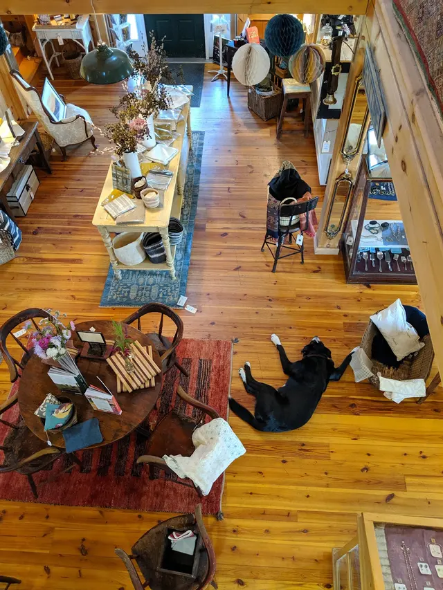 Muzio Designs — customer photo 2
