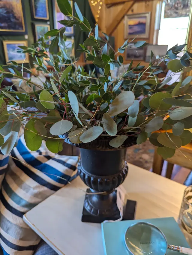 Muzio Designs — customer photo 3
