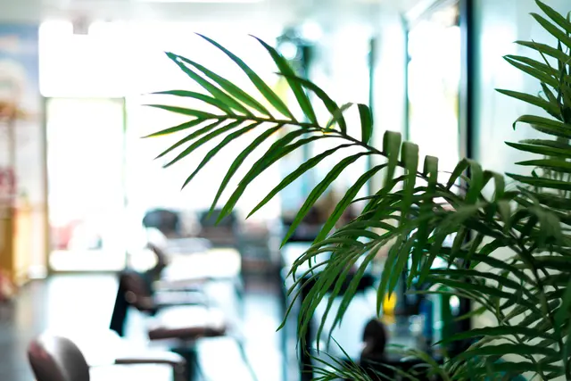 Paradise Grooming For Men — photo from the business 5