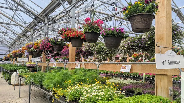 Town & Country Gardens — photo from the business 4