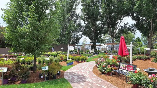 Town & Country Gardens — photo from the business 9