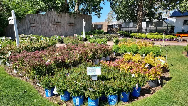 Town & Country Gardens — photo from the business 5