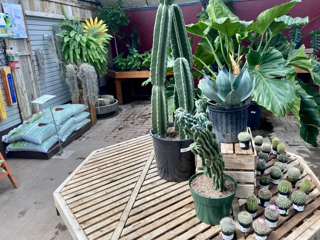 Town & Country Gardens — customer photo 3