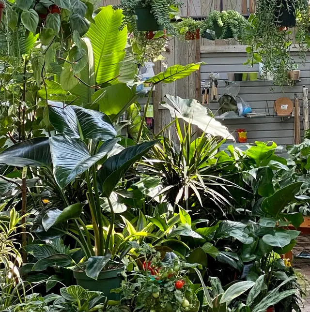 Town & Country Gardens — photo from the business 11