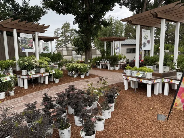 Town & Country Gardens — photo from the business 6