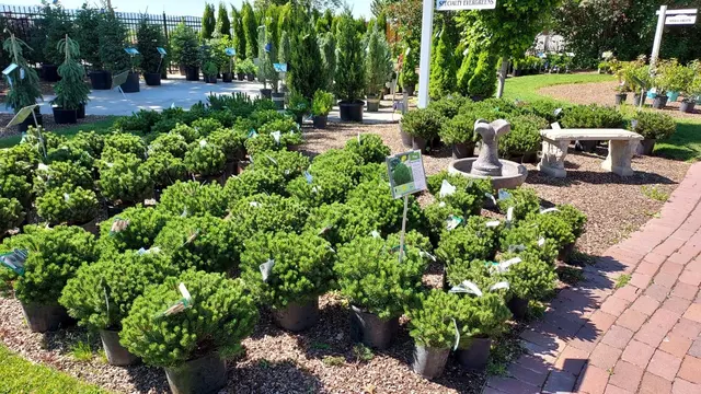 Town & Country Gardens — photo from the business 7