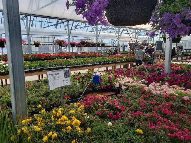 Sunnyside Gardens — customer photo 8