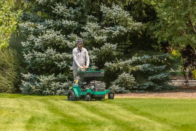 Lawn Buddies — photo from the business 10