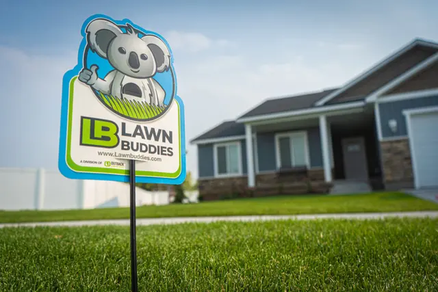 Lawn Buddies — photo from the business 1