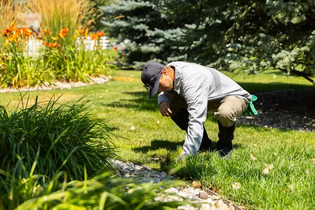 Lawn Buddies — photo from the business 5