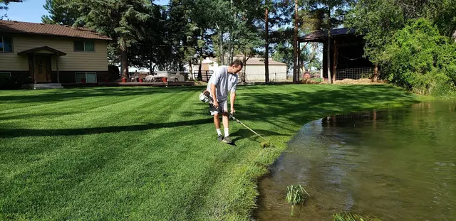 Envy Lawncare — photo from the business 11